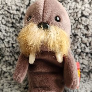 Jolly the Walrus Ty beanie baby collection